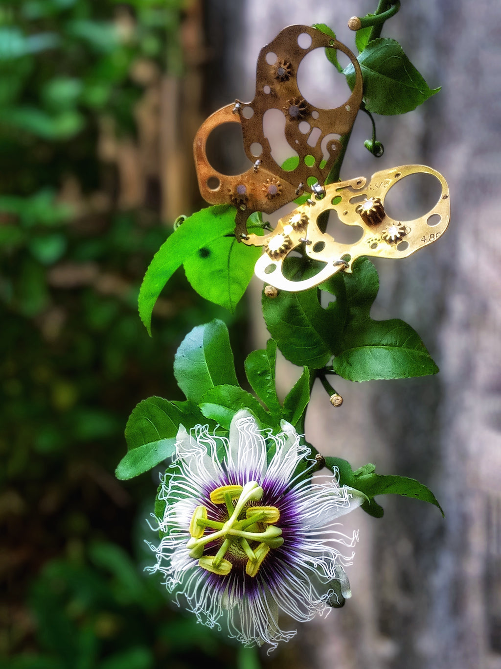 Butterfly – Bronze Necklace – Articulated Mechanical Butterfly – Logbook Collection